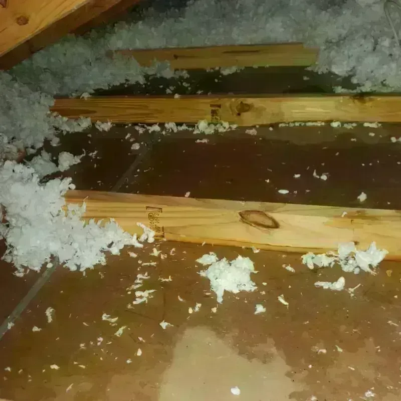 Attic Water Damage in Shelby, AL