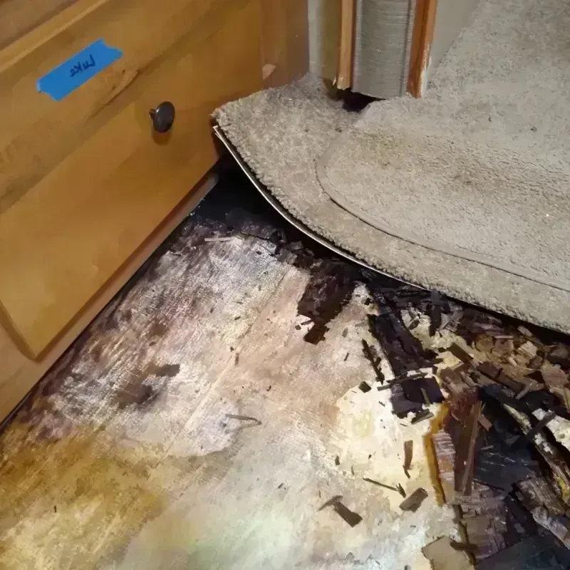 Wood Floor Water Damage in Shelby, AL